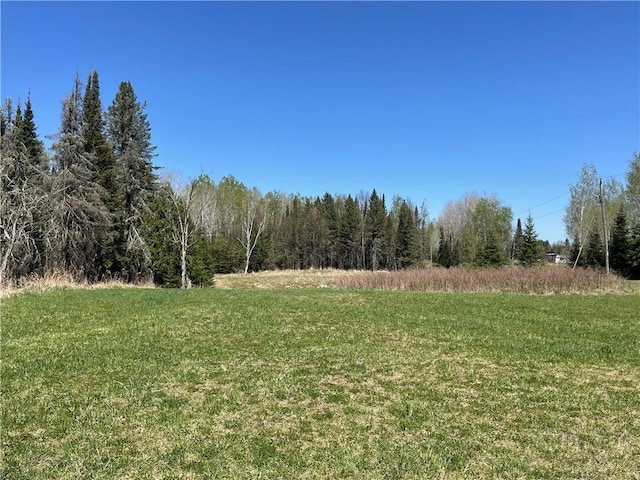 15735 N Park Rd, Butternut, WI 54514 - view of wooded area
