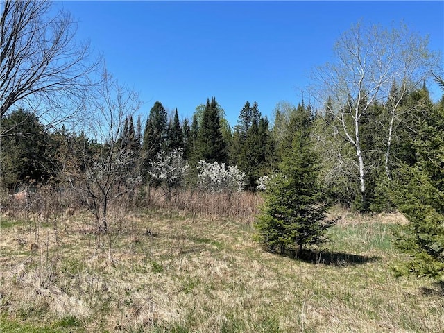 15735 N Park Rd, Butternut, WI 54514 - view of undeveloped land