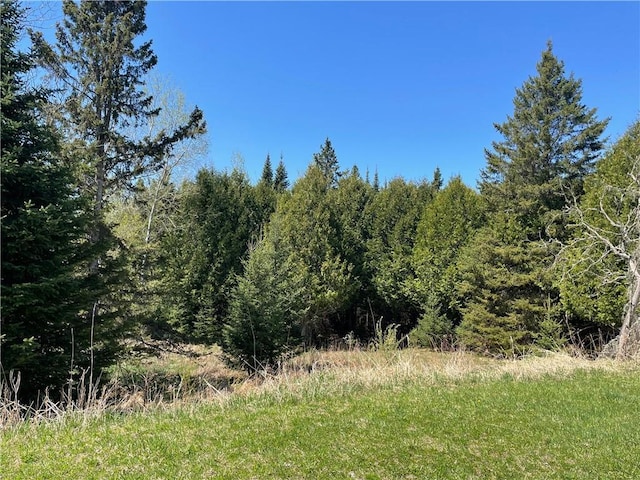 15735 N Park Rd, Butternut, WI 54514 - view of tree filled area