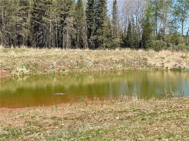 15735 N Park Rd, Butternut, WI 54514 - water view