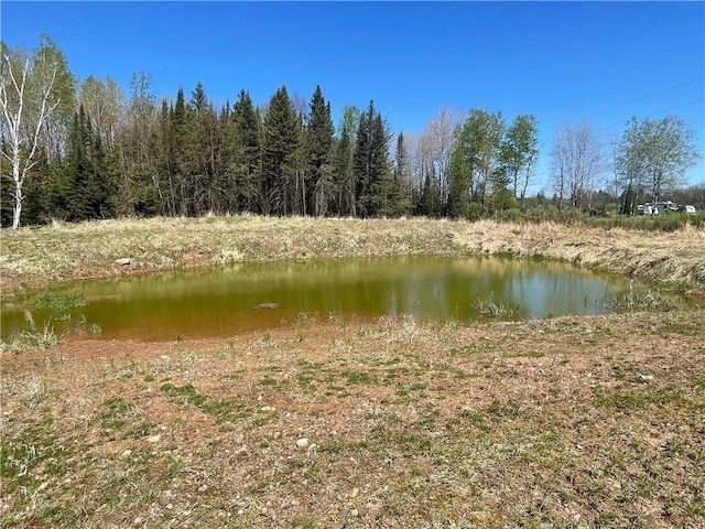 15735 N Park Rd, Butternut, WI 54514 - water view