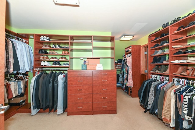7601 S Cambridge Dr, Franklin, WI 53132 - walk in closet with light carpet