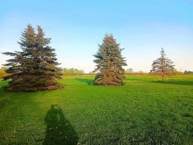 5544 Elm Rd, Pittsville, WI 54466 - view of grassy yard with a view of countryside