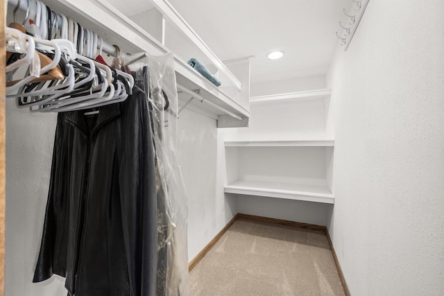 528 Park Ave, Waupaca, WI 54981 - spacious closet with carpet floors