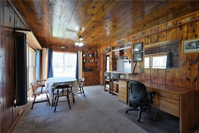 7266 County Road U, Danbury, WI 54830 - carpeted home office with wooden walls, healthy amount of natural light, wood ceiling, and ceiling fan