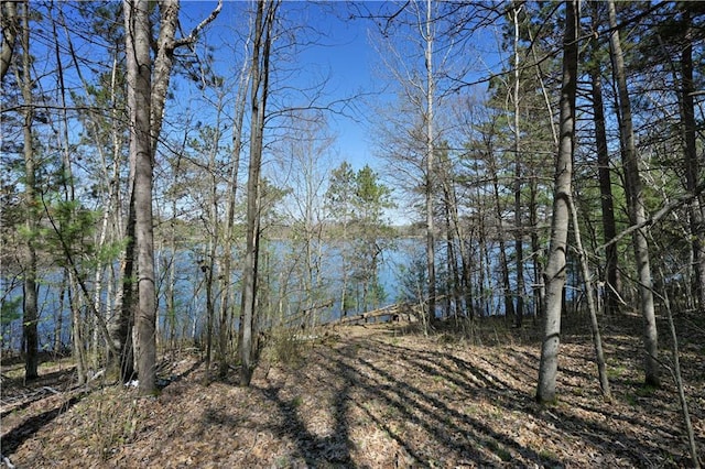 7266 County Road U, Danbury, WI 54830 - water view