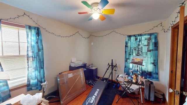 5869 State Highway 27, Sparta, WI 54656 - office space featuring wood finished floors and a ceiling fan