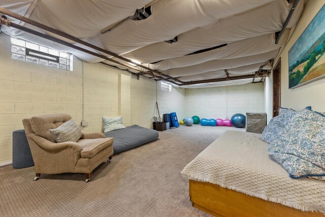 304 16th St, Racine, WI 53403 - below grade area featuring carpet
