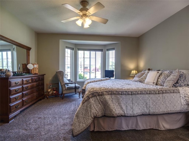 429 Riggs St, Bloomer, WI 54724 - carpeted bedroom featuring multiple windows and a ceiling fan