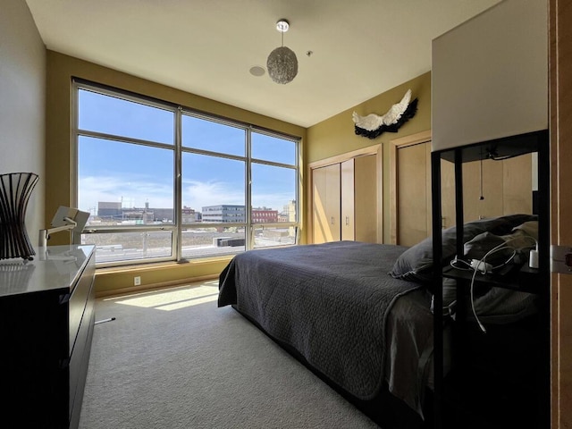 106 W Seeboth St Unit 503, Milwaukee, WI 53204 - carpeted bedroom with a view of city and two closets