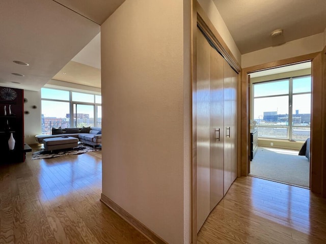 106 W Seeboth St Unit 503, Milwaukee, WI 53204 - hall featuring wood finished floors, a city view, and baseboards