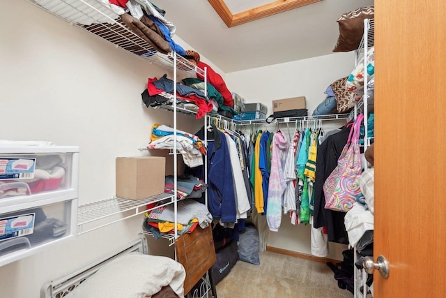 802 Herndon Dr Unit C, Madison, WI 53718 - walk in closet featuring carpet floors