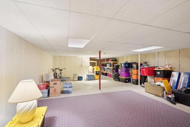 802 Herndon Dr Unit C, Madison, WI 53718 - finished basement with a drop ceiling and carpet floors