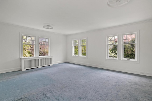 3468 N Summit Ave, Milwaukee, WI 53211 - unfurnished room with ornamental molding, carpet, baseboards, and radiator heating unit