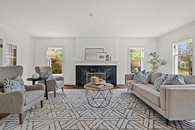 3468 N Summit Ave, Milwaukee, WI 53211 - living area with ornamental molding, healthy amount of natural light, wood finished floors, and a premium fireplace