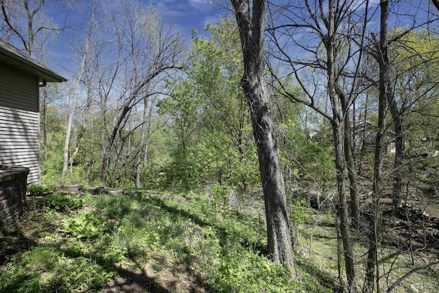 view of wooded area