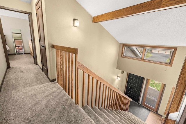 416 Sommers St, Stevens Point, WI 54481 - staircase with carpet flooring and a textured ceiling