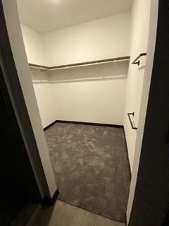 20398 64th Ave, Chippewa Falls, WI 54729 - spacious closet featuring carpet flooring