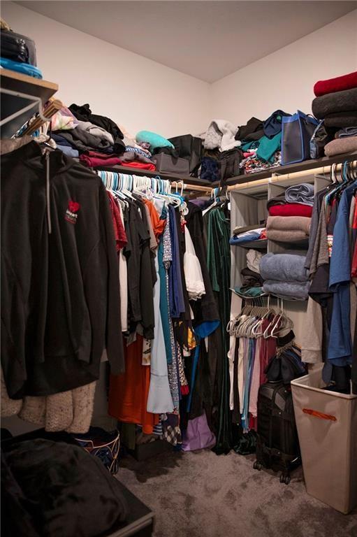 20398 64th Ave, Chippewa Falls, WI 54729 - spacious closet featuring carpet floors