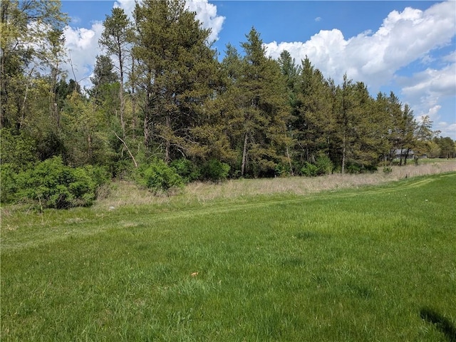 20398 64th Ave, Chippewa Falls, WI 54729 - view of yard featuring a wooded view