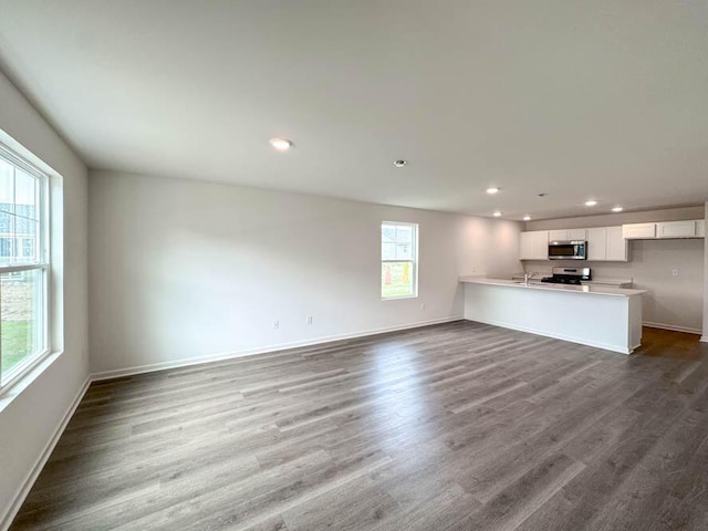1126 58th Rd, Union Grove, WI 53182 - unfurnished living room with recessed lighting, dark wood-type flooring, baseboards, and a sink