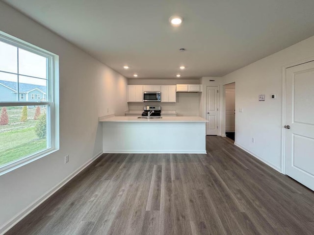 1126 58th Rd, Union Grove, WI 53182 - kitchen featuring appliances with stainless steel finishes, plenty of natural light, dark wood finished floors, and recessed lighting