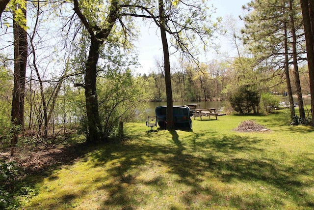 N9394 21st Ave, Neshkoro, WI 54960 - view of grassy yard with a forest view