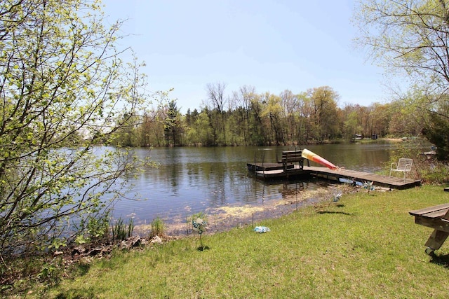 N9394 21st Ave, Neshkoro, WI 54960 - dock featuring a water view and a forest view
