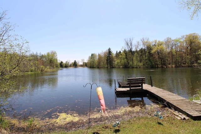 N9394 21st Ave, Neshkoro, WI 54960 - dock with a water view and a wooded view