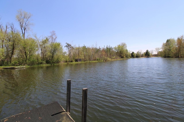 N9394 21st Ave, Neshkoro, WI 54960 - dock area featuring a water view