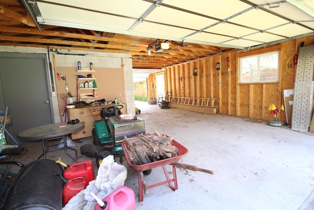 N9394 21st Ave, Neshkoro, WI 54960 - garage with a garage door opener