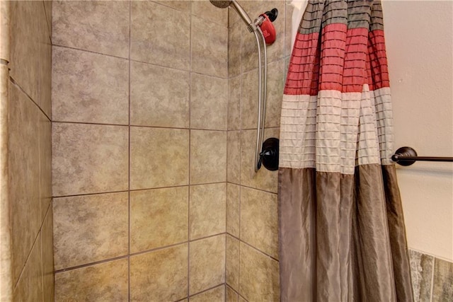N492 County Road D, Eau Galle, WI 54737 - bathroom view of a tile shower