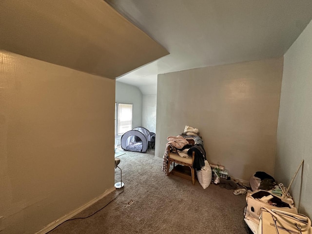 additional living space with carpet