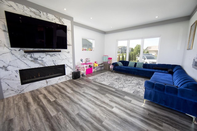 living area with wood finished floors, a fireplace, and recessed lighting