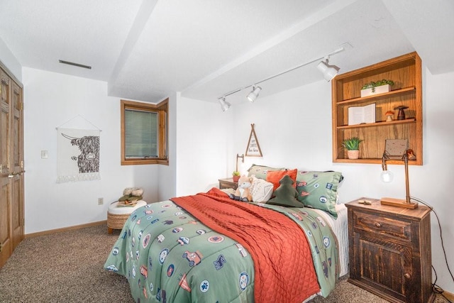 519 Grandview Heights Ct, Menomonie, WI 54751 - bedroom with carpet floors, track lighting, and baseboards