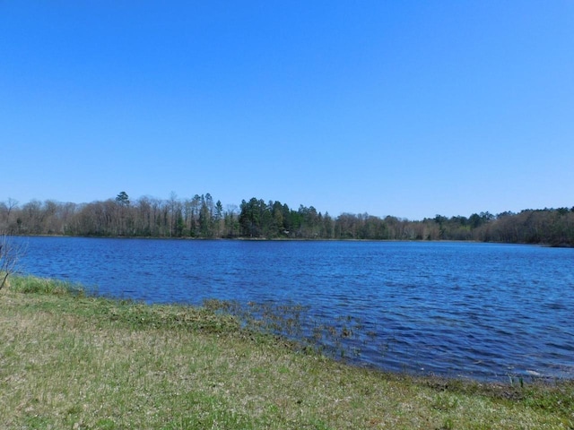 8305 Half Moon Dr, Iron River, WI 54847 - water view with a forest