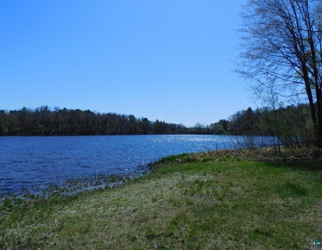 8305 Half Moon Dr, Iron River, WI 54847 - water view with a heavily wooded area
