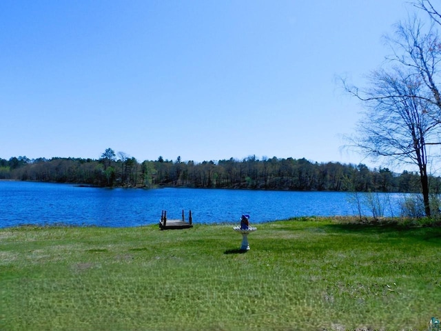 8305 Half Moon Dr, Iron River, WI 54847 - water view with a heavily wooded area