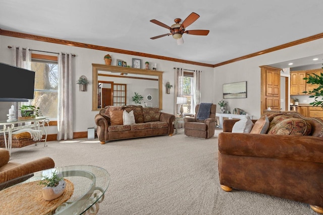 61 N Grand St, Markesan, WI 53946 - living room featuring carpet flooring, a ceiling fan, crown molding, and baseboards