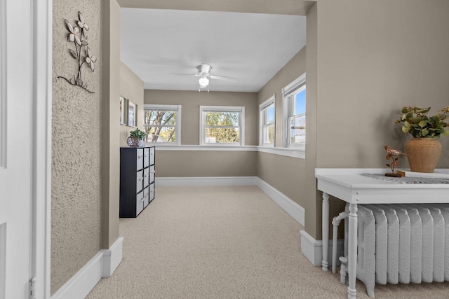 61 N Grand St, Markesan, WI 53946 - hallway with radiator heating unit, carpet, and baseboards