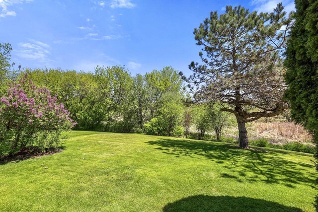 view of green lawn