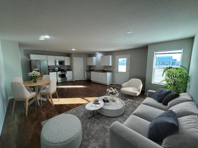 708 E Maple Beach Dr, Edgerton, WI 53534 - living area with dark wood-style floors, baseboards, a textured ceiling, and recessed lighting