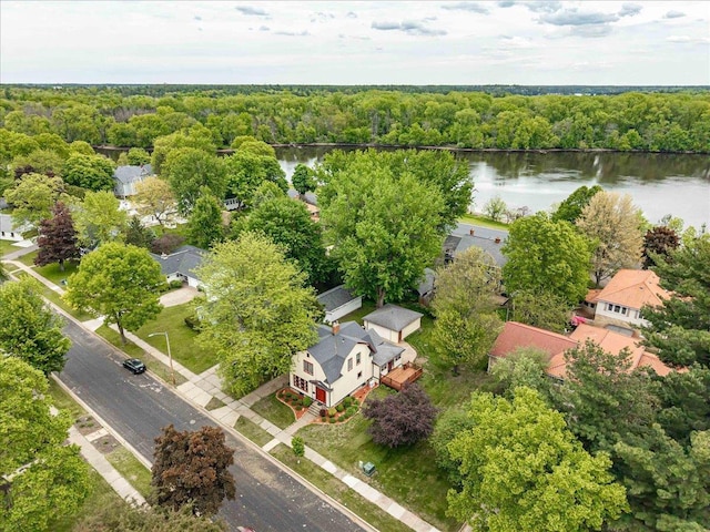 330 1st St, Port Edwards, WI 54469 - bird's eye view of a large body of water and a heavily wooded area