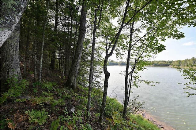 13025 Brady Rd, Drummond, WI 54832