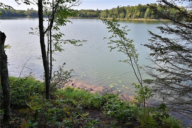 13025 Brady Rd, Drummond, WI 54832