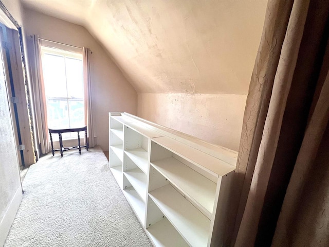 spacious closet with carpet flooring and vaulted ceiling