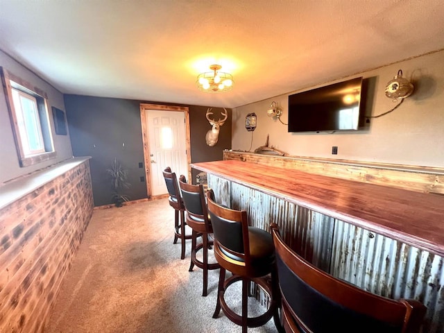indoor dry bar featuring carpet floors