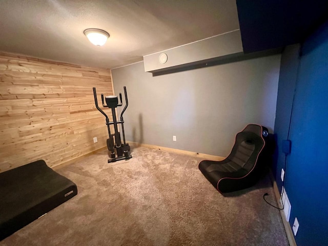 exercise area featuring wooden walls, carpet, and baseboards