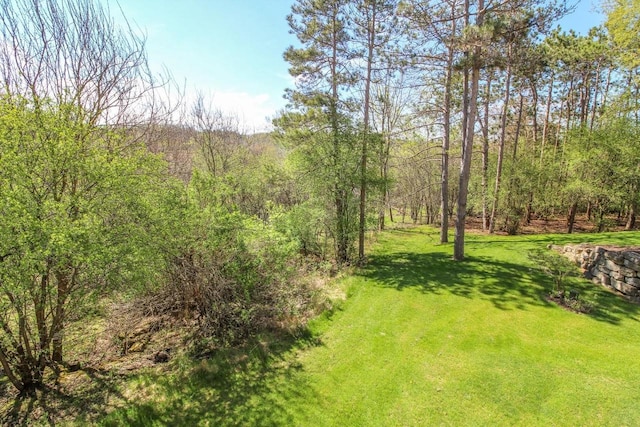 W8849 Deer Run Trl, Cambridge, WI 53523 - view of green lawn with a forest view