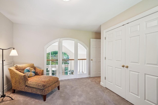 W8849 Deer Run Trl, Cambridge, WI 53523 - sitting room with carpet flooring
